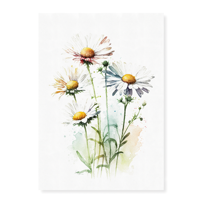 Daisies IV - Art Print