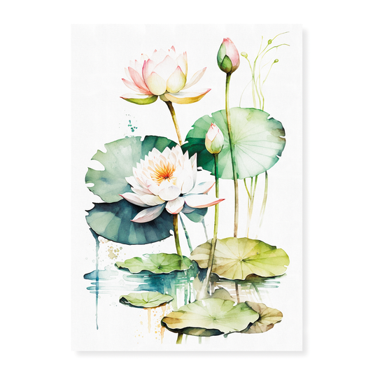 Water Lillies II - Art Print