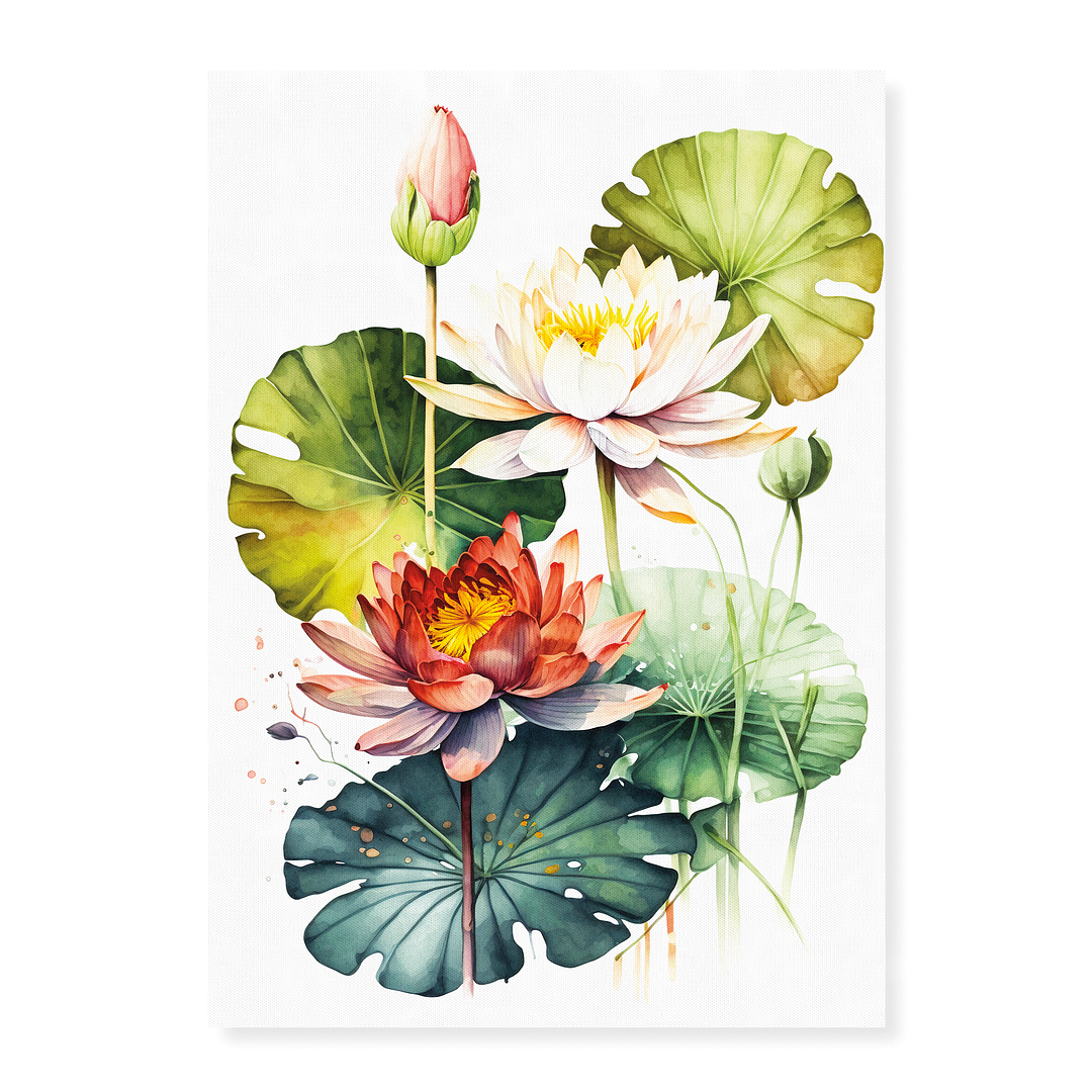 Water Lillies IV - Art Print