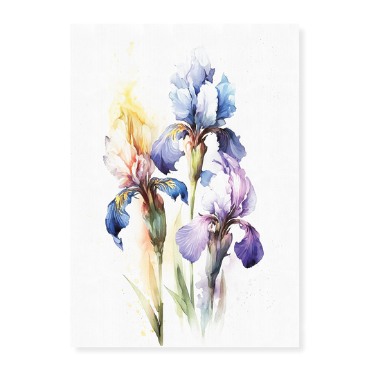 Irises 1 - Art Print