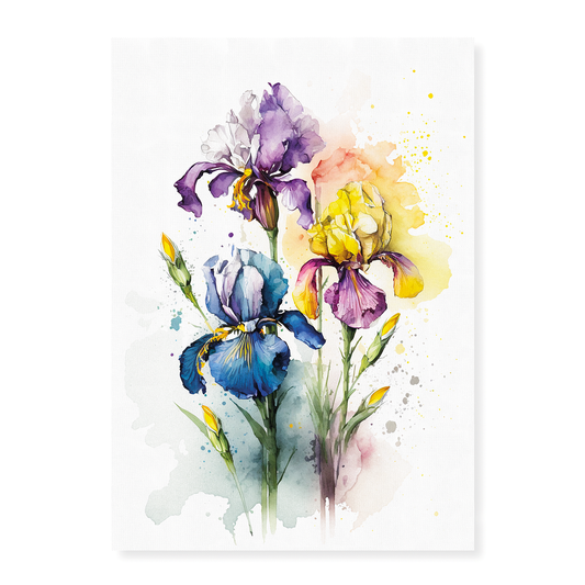 Irises 2 - Art Print