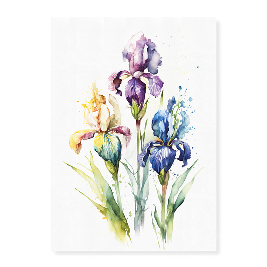 Irises 3 - Art Print