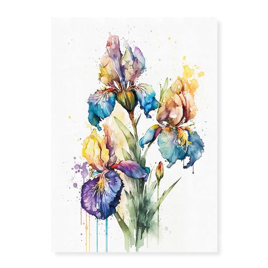 Irises 4 - Art Print
