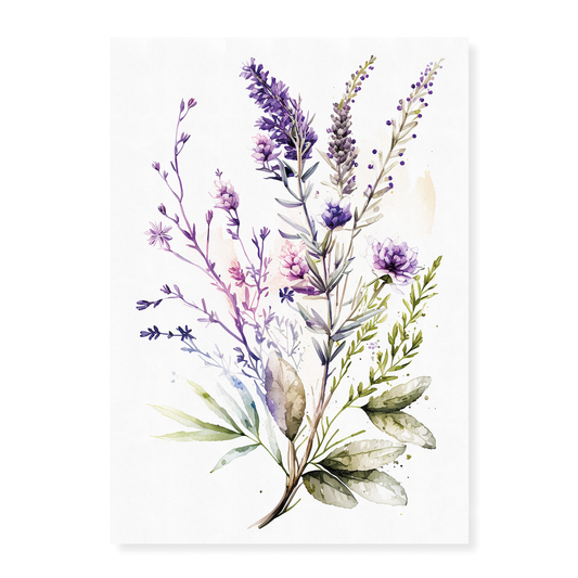 Lavender 1 - Art Print