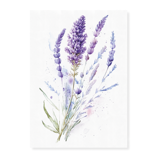 Lavender 2 - Art Print