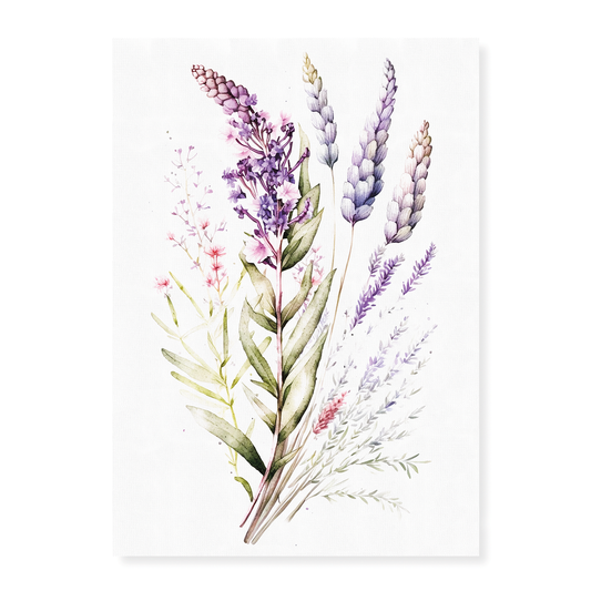 Lavender 3 - Art Print
