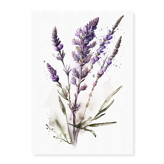 Lavender 4 - Art Print