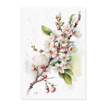 Cherry blossoms 1 - Art Print