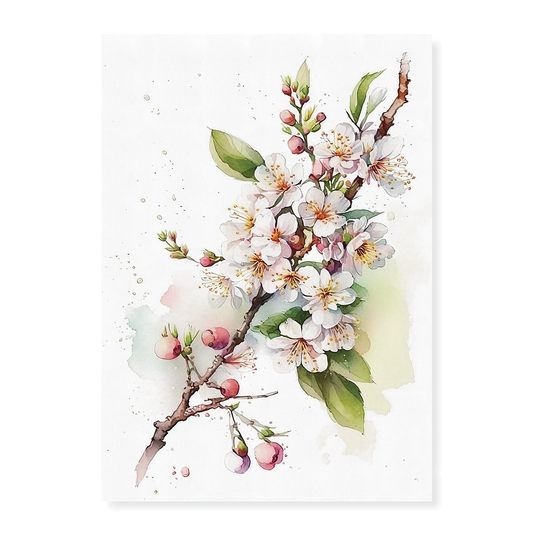 Cherry blossoms 1 - Art Print