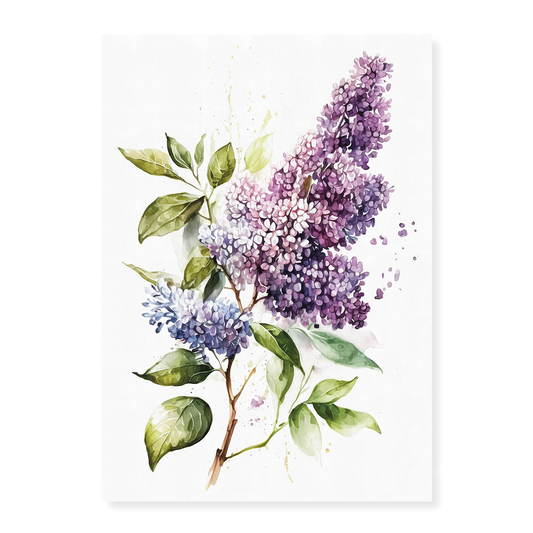 Lilacs 1 - Art Print