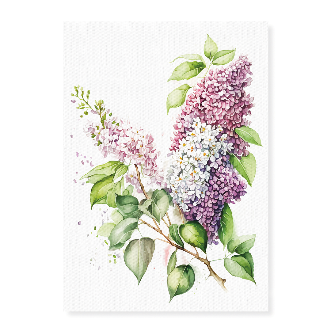 Lilacs 2 - Art Print