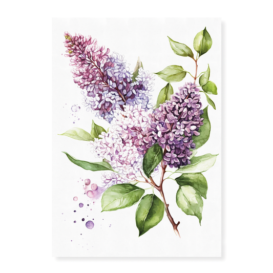 Lilacs 3 - Art Print