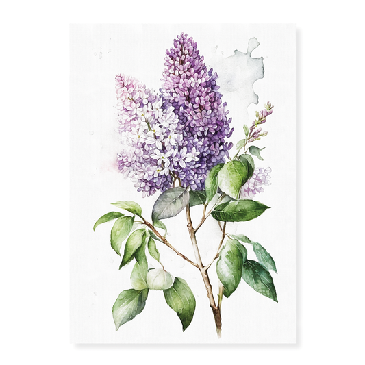Lilacs 4 - Art Print