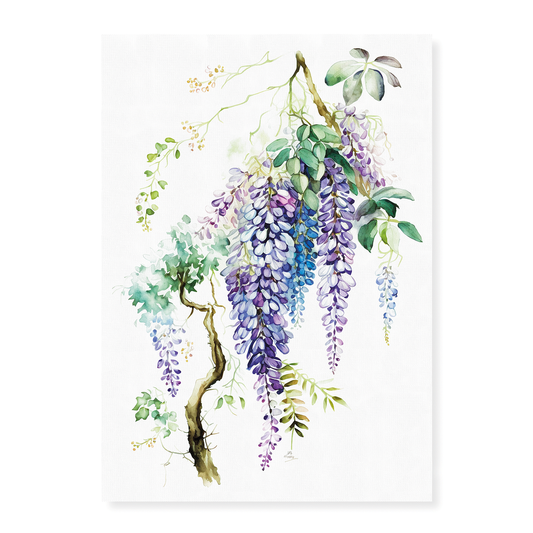 wisteria 4 - Art Print