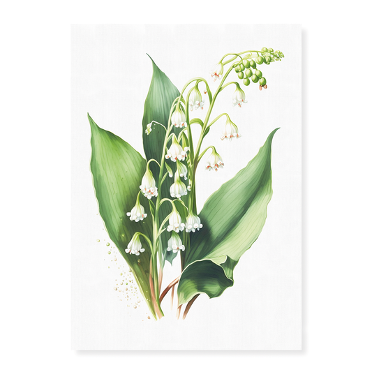 Lily of the valley 1 - Art Print