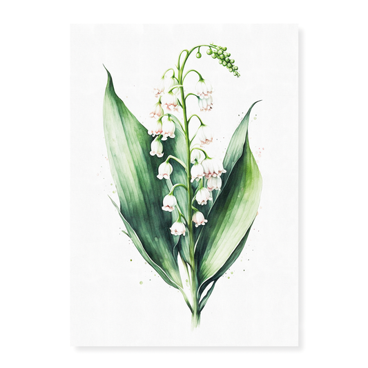 Lily of the valley 2 - Art Print