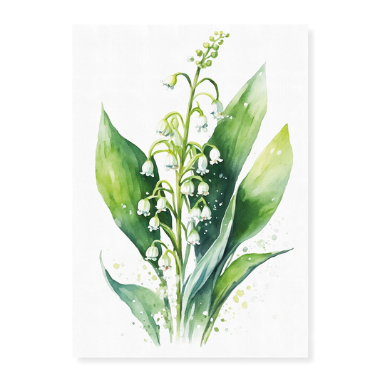 Lily of the valley 4 - Art Print