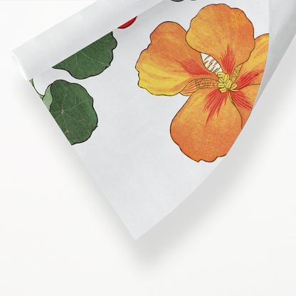 Nasturtium flower By Tanigami Kônan Art-Print