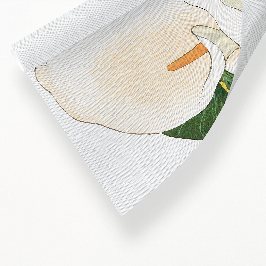 Calla Lily By Tanigami Kônan Art-Print