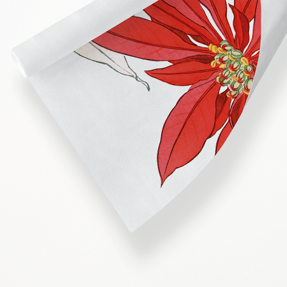 Poinsettia By Tanigami Kônan Art-Print