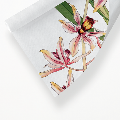 Cymbidium Orchid By Tanigami Kônan Art-Print