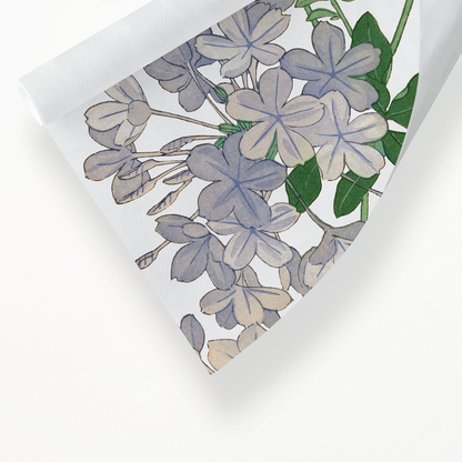 Plumbago By Tanigami Kônan Art-Print