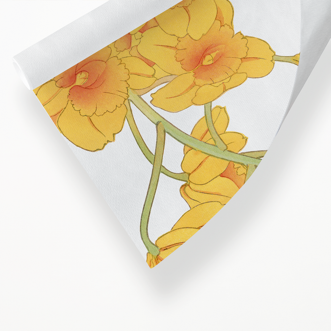 Dendrobium Chrysotoxum By Tanigami Kônan Art-Print