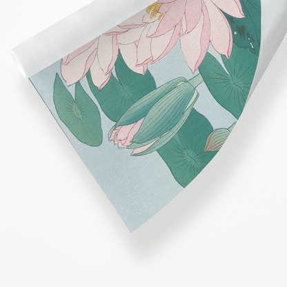 Water Lily By Ohara Koson - Art Print