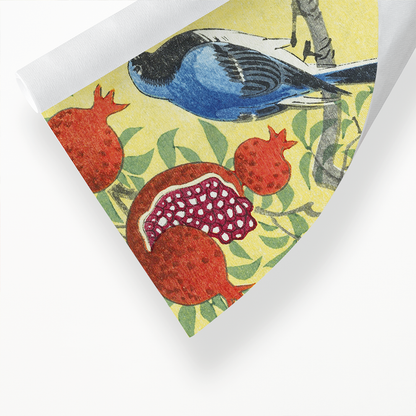 Blue robin perched on a pomegranate tree - Art Print