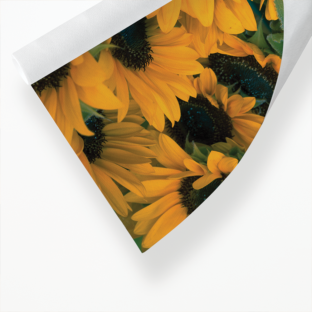 Bunch of sunflowers - Art Print