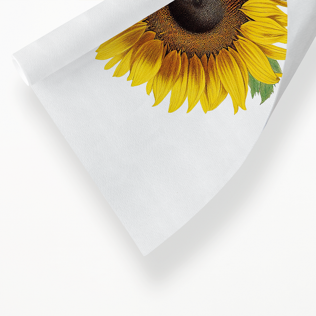 Sunflower - Art Print