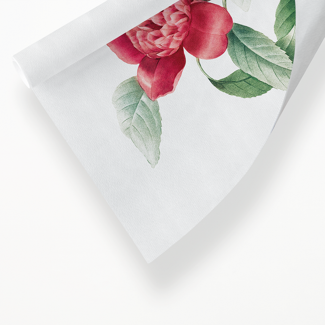 Red Anemone Camellia By Pierre-Joseph Redouté - Art Print