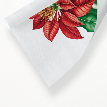 Poinsettia - Art Print