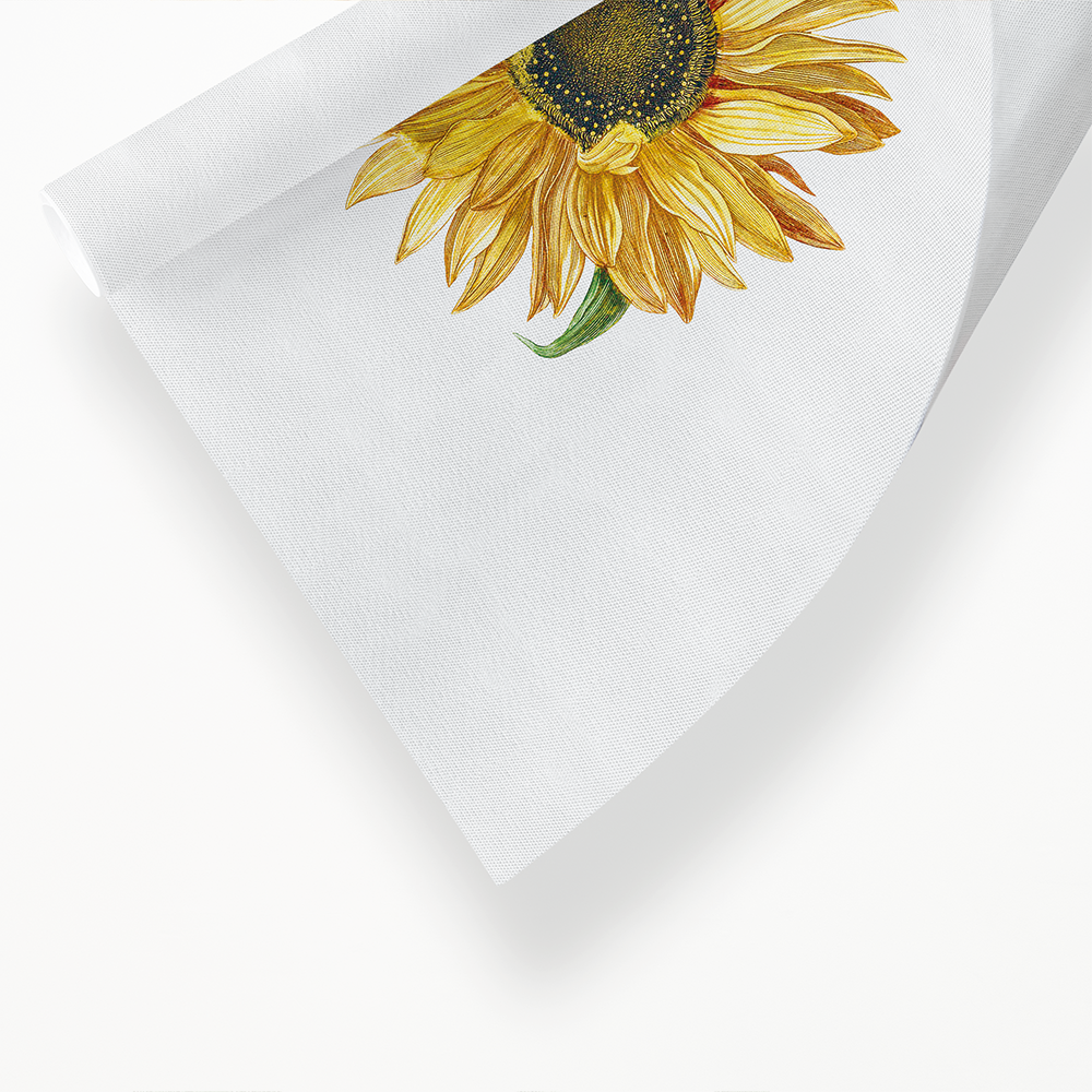 A sunflower by Johan Teyler  - Art Print