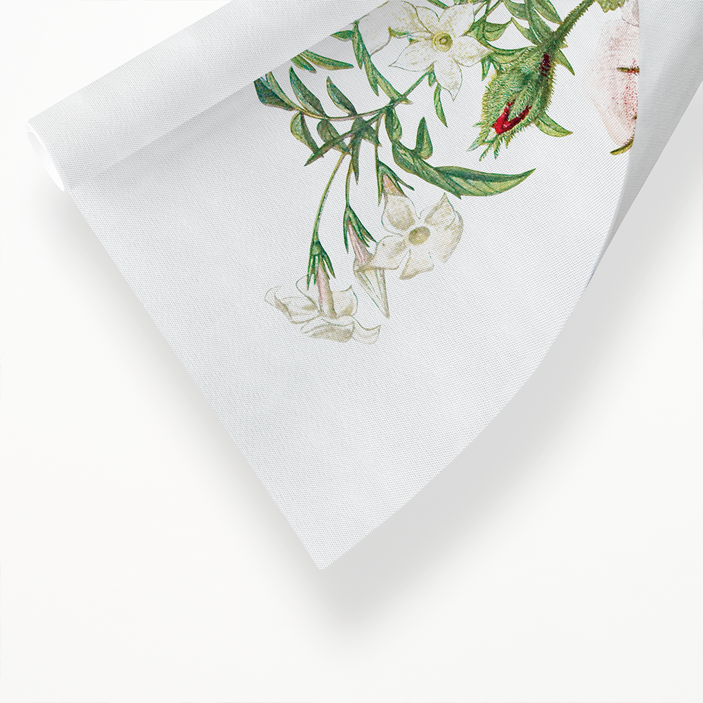 Moss Rose, Sweet Scented Violet and White Jasmine - Art Print