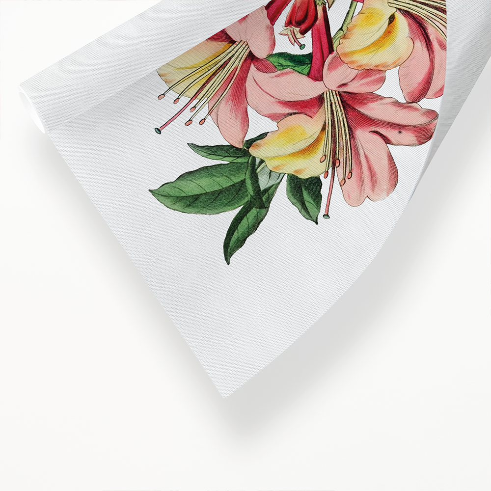 Changeable pontic azalea - Art Print