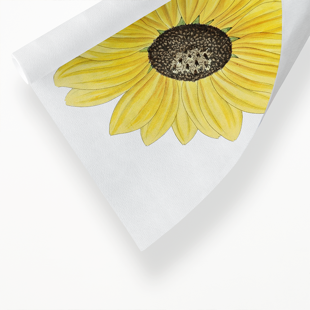 Californian Sunflower - Art Print