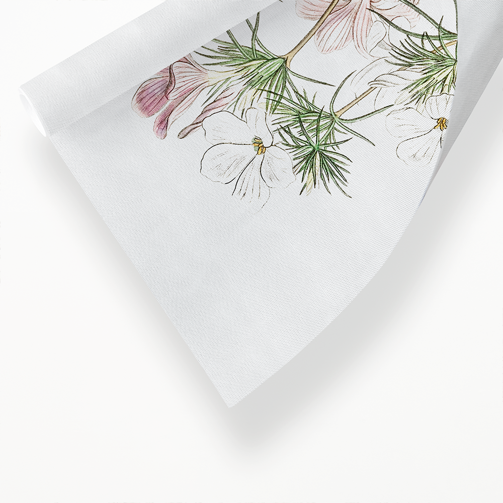 Thick-flowered slender-tube - Art Print