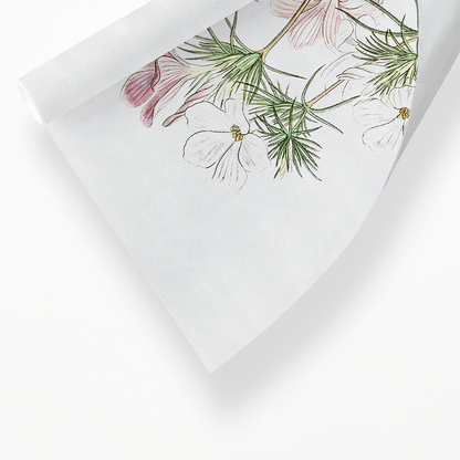 Thick-flowered slender-tube - Art Print