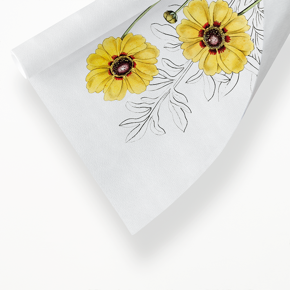 Perennial dyer's coreopsis - Art Print