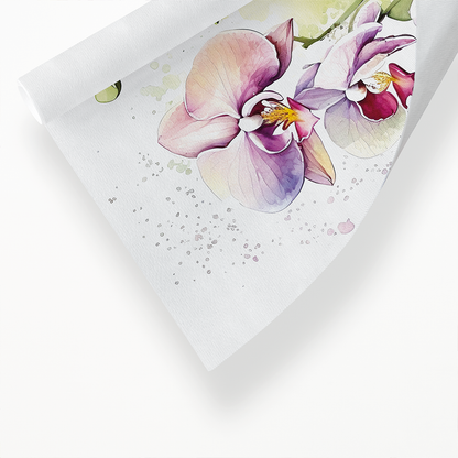 Orchids II - Art Print