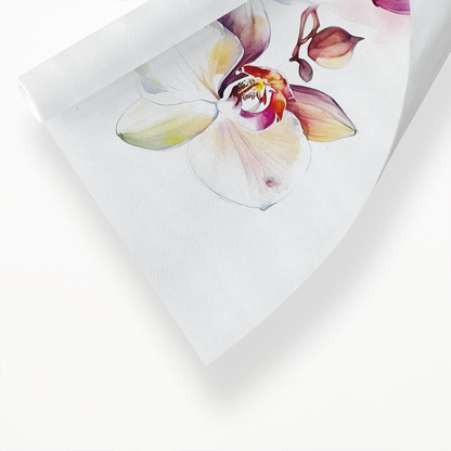 Orchids III - Art Print