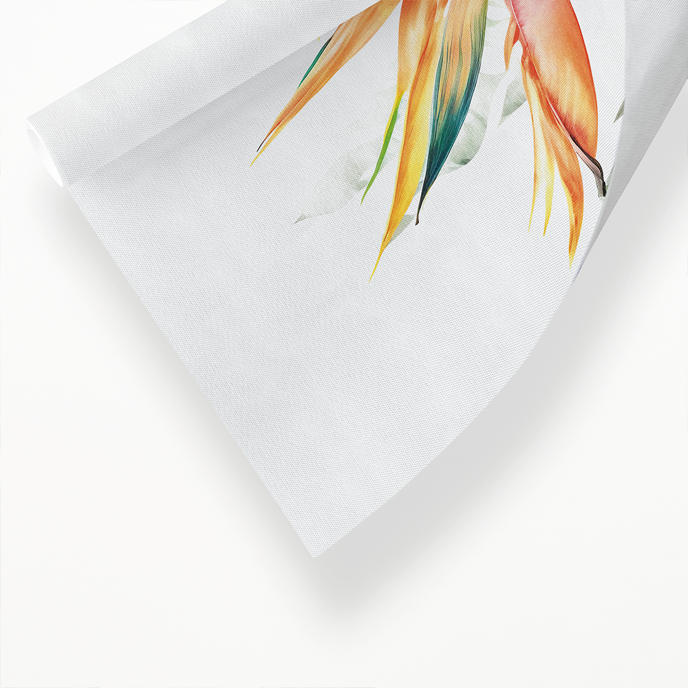 Strelitzia II - Art Print