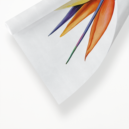 Strelitzia IV - Art Print