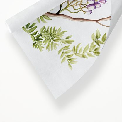 wisteria 1 - Art Print