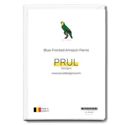 Blue-Fronted Amazon Parrot - Wenskaart