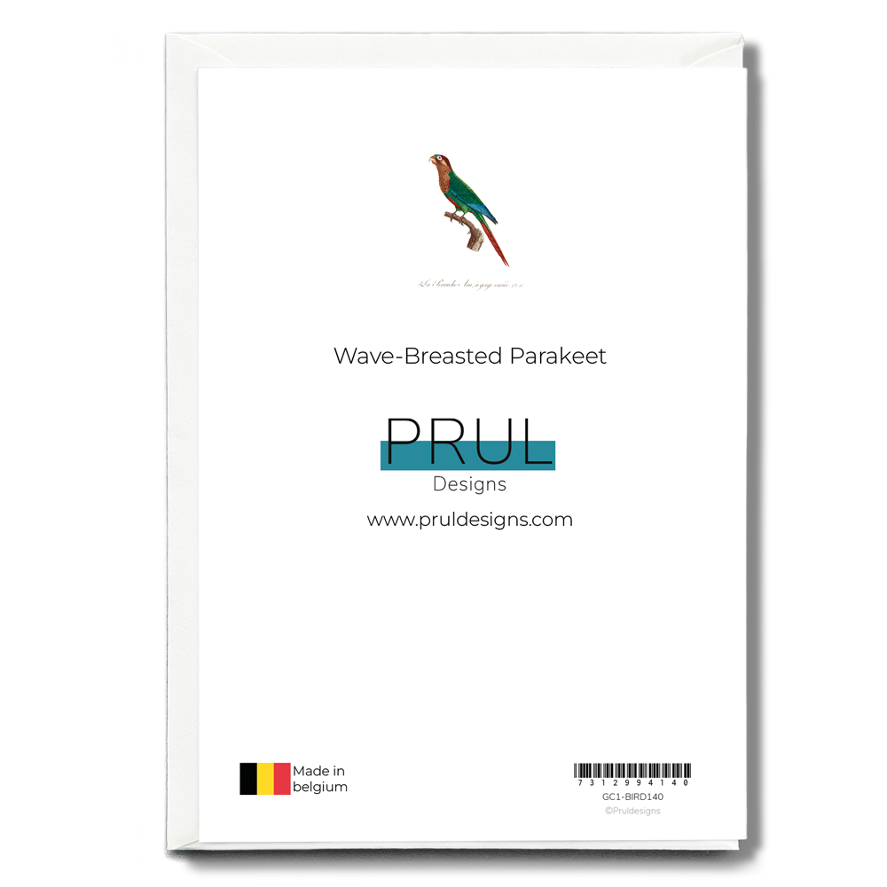 Wave-Breasted Parakeet  - Wenskaart