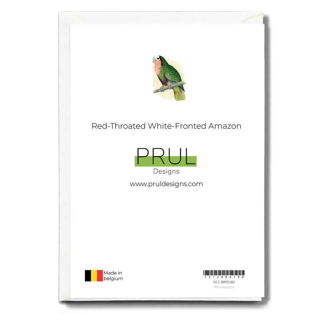 Red-Throated White-Fronted Amazon  - Wenskaart