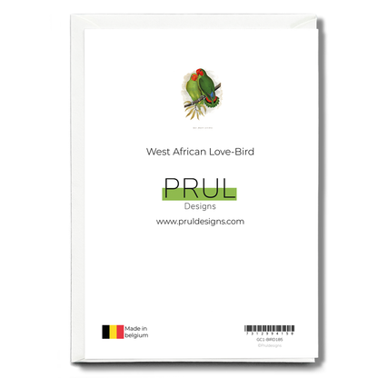 West African Love-Bird - Wenskaart