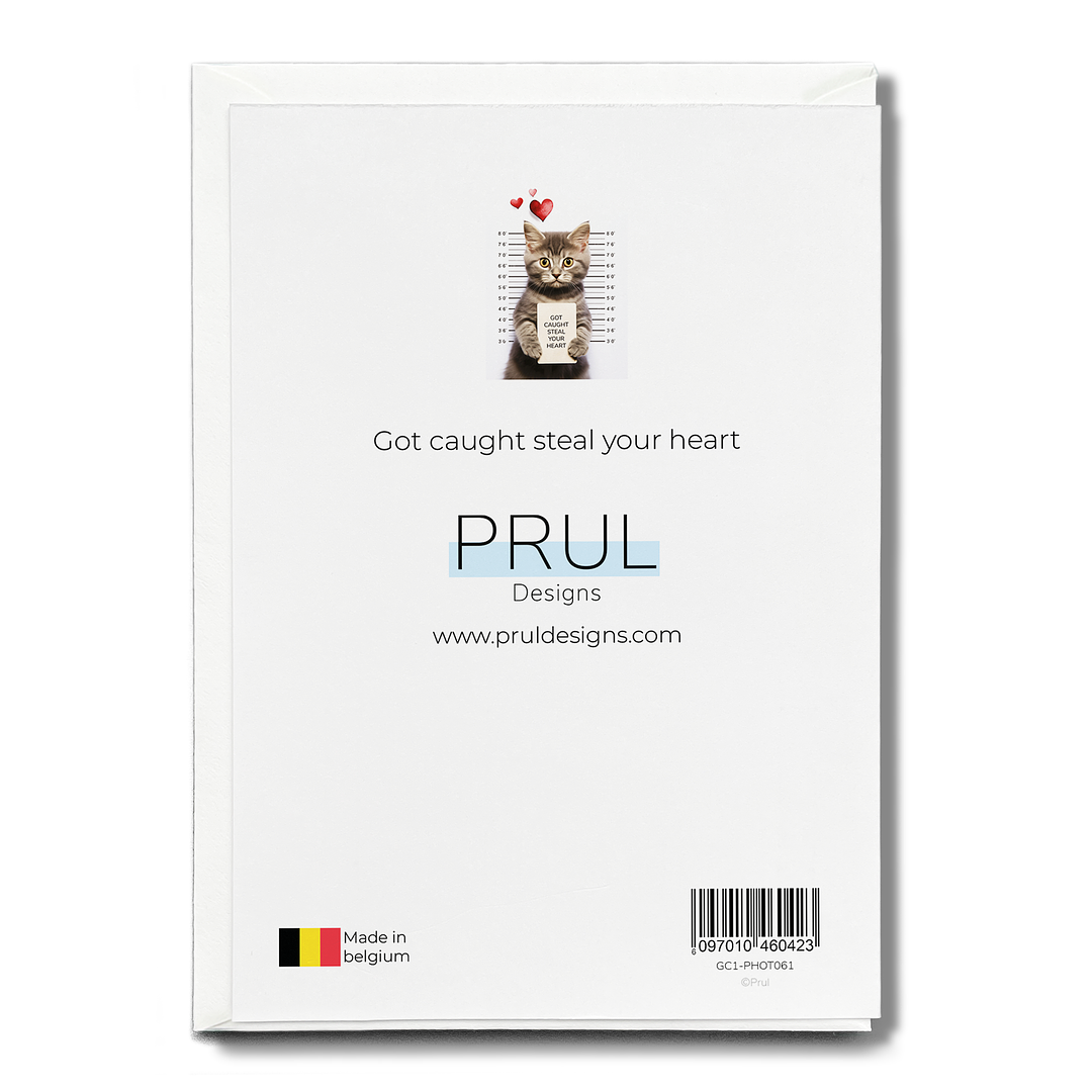 Got caught steal your heart - Greeting Card